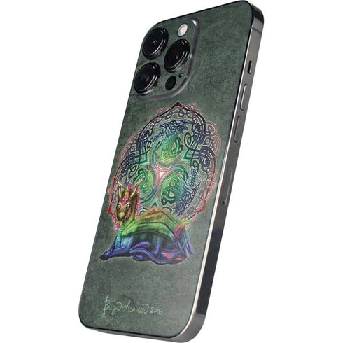 Celtic Dragon by Brigid Ashwood iPhone 16 Pro Skin